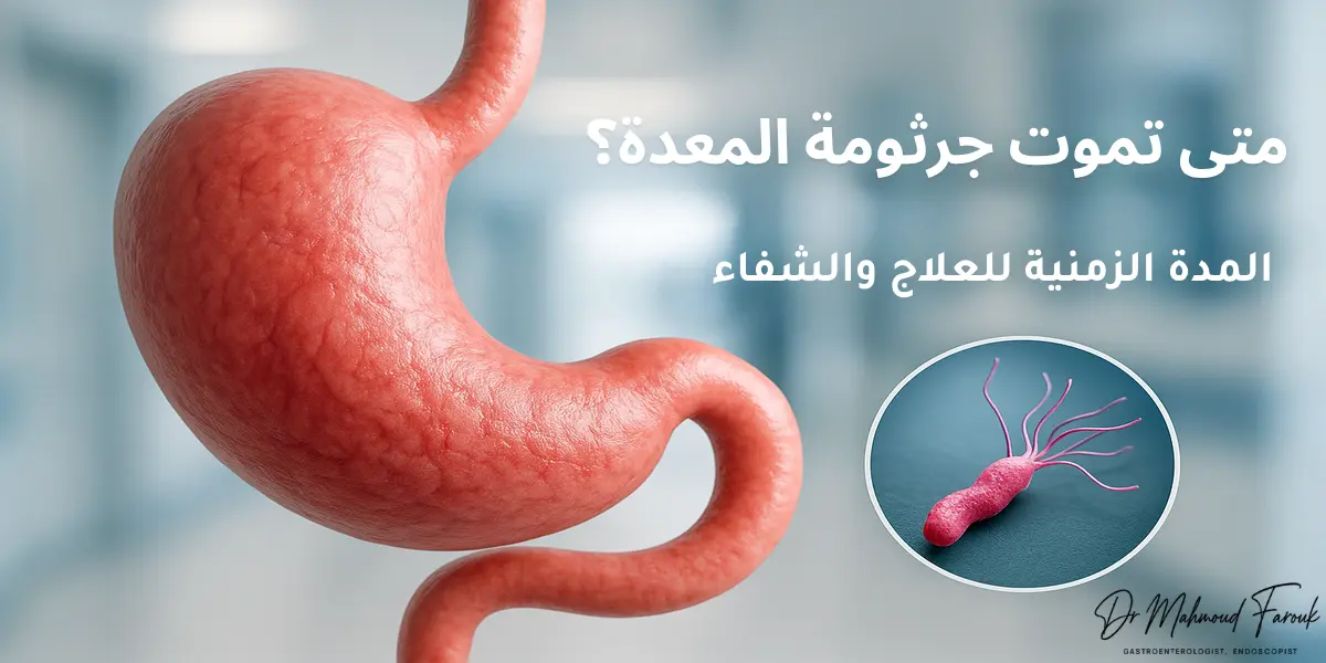 متى تموت جرثومة المعدة؟ المدة الزمنية للعلاج والشفاء