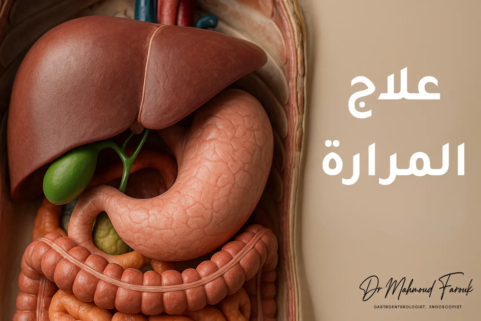 علاج المرارة