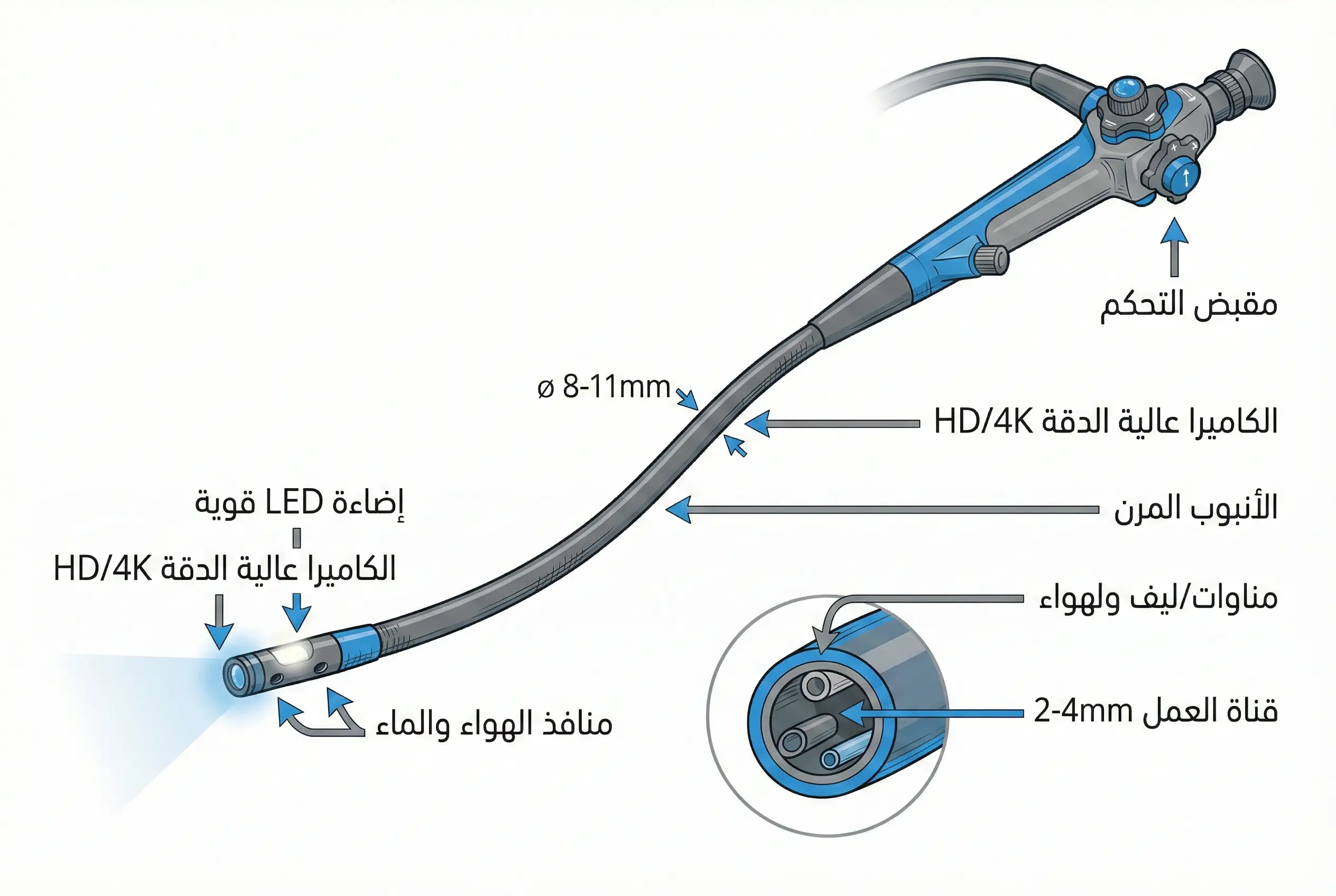 رسم توضيحي لأجزاء جهاز منظار المعدة يوضح الأنبوب المرن والكاميرا عالية الدقة وقناة العمل ومنافذ الهواء والإضاءة LED